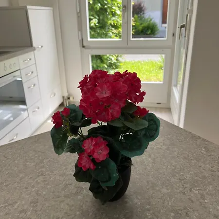 Tom Apartamento Interlaken