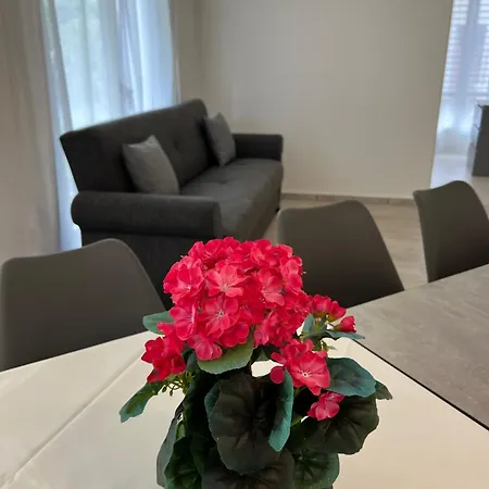 Apartment Tom Interlaken