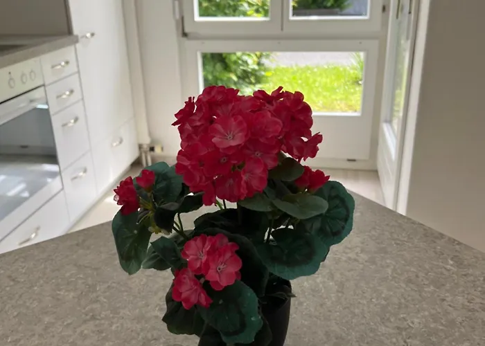 Tom Appartamento Interlaken